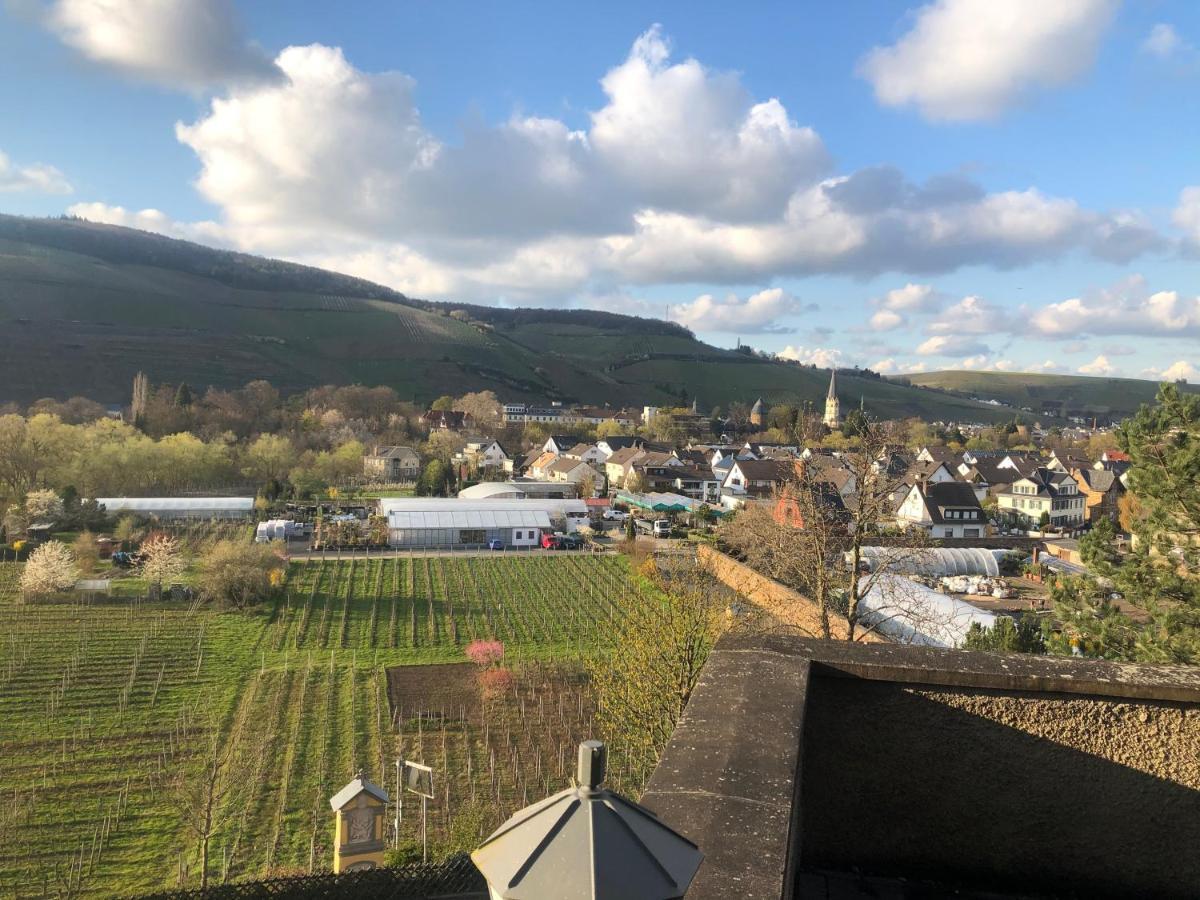 Ferienhaus Mausberg Bad Neuenahr-Ahrweiler Dış mekan fotoğraf